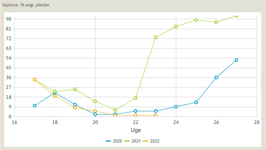 Udviklingen af septoria ligger på et lavt niveau sammenlignet med de to foregående år. Kilde: Seges Innovation