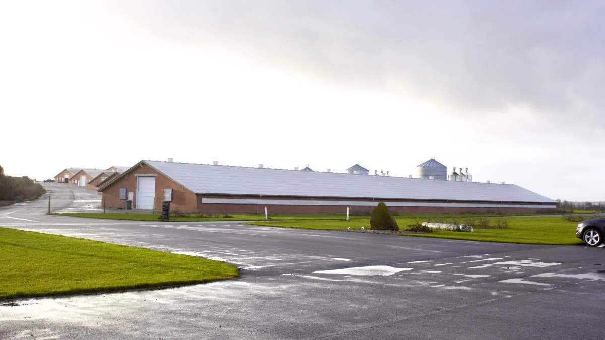 Rokkedahl ved Nibe har underskrevet en klimapartnerskabsaftale med Aalborg Kommune. Arkivfoto: Tenna Bang