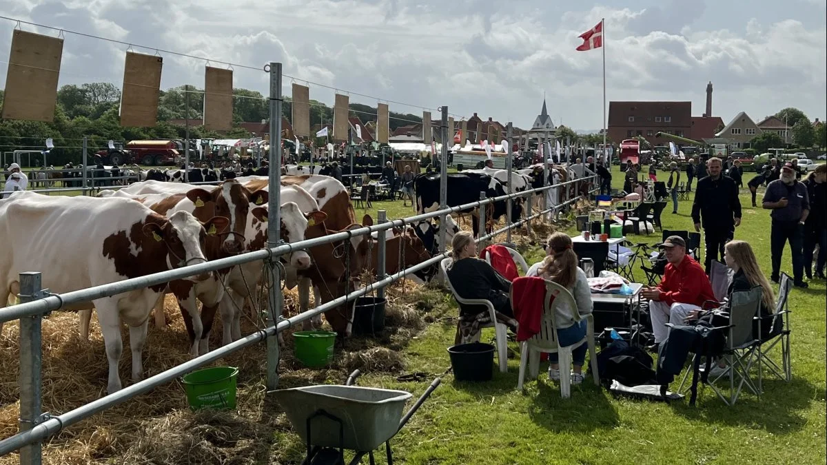 Både dyr og mennesker havde en god dag på dyrskuepladsen i Thisted. Fotos: Fjordland og Viking Danmark

