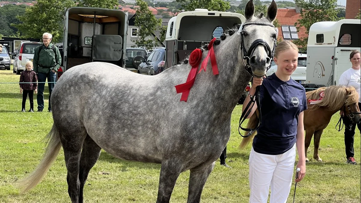 Bedste hoppe: Søgaards Luchy Punch, Stald Søgaard ved Gitte og Anja Søndergaard, Nykøbing Mors (Dansk Sports Pony)
