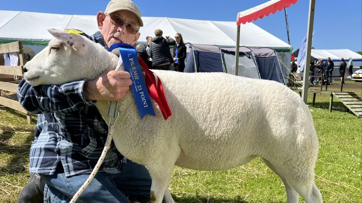 Bedste får: Thorkild Regnhold Nielsen, Hornum ved Aars (Texel)