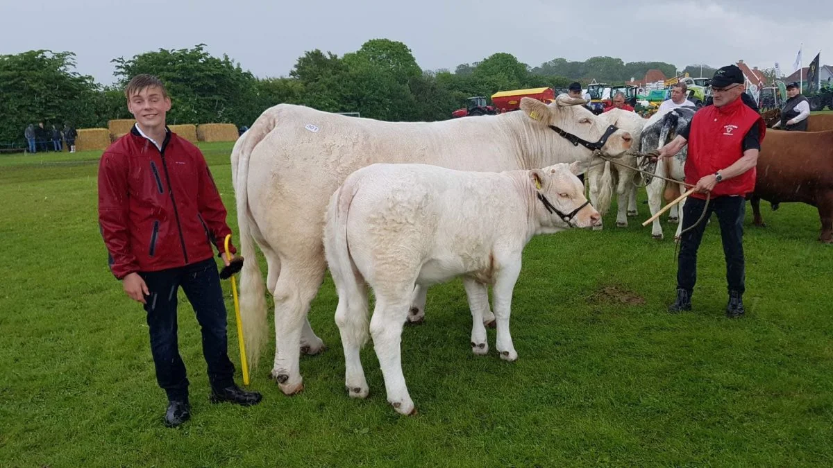 Bedste hundyr: Jan og Anders Larsen, Storup ved Øster Assels (Charolais)
