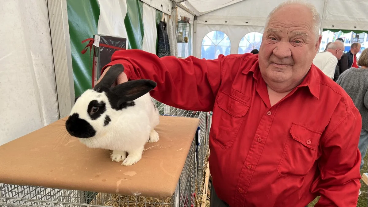 John Hulstrøm, Hillerslev, fejrede 65 års jubilæum som udstiller af kaniner på dyrskuet.