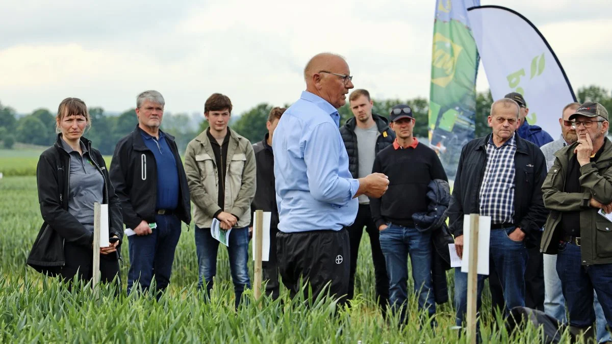Forsøgsmarken ved Christianshøj er på seks-syv hektar, og en gang om året inviteres nysgerrige til Agri Farm Day. Pressefotos