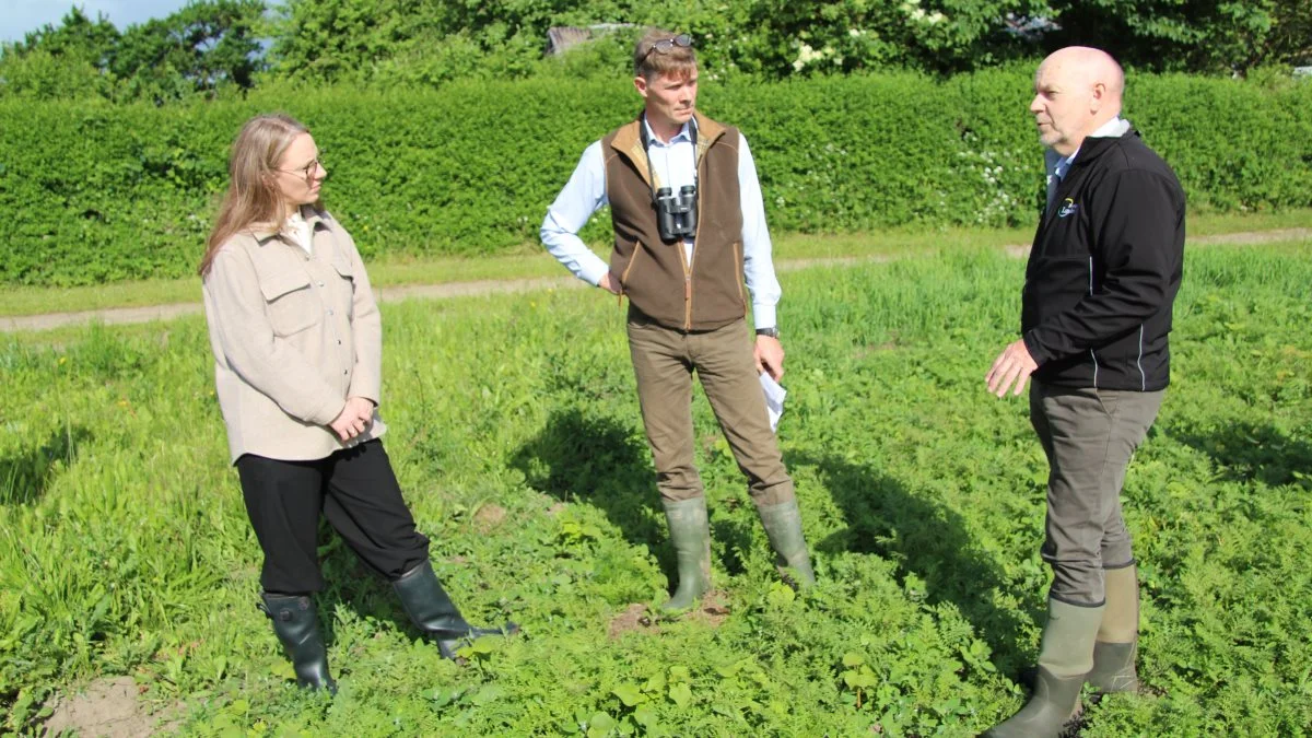 Der var nok at se på, da miljøminister Lea Wermelin (til venstre) var på besøg hos BL-formand Peter Kiær (i midten). Her taler de med faglig direktør i Bæredygtigt Landbrug, Jørgen Ewald. Foto: Morten Ipsen