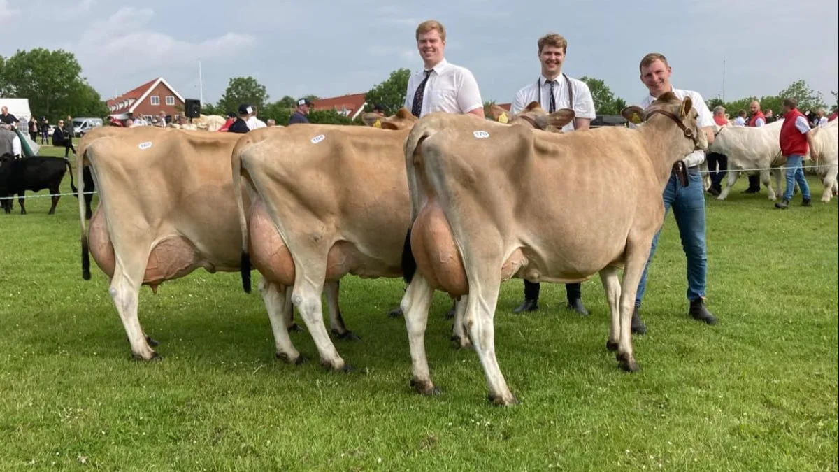 Bedste Jersey-besætningsgruppe: Fra Tastum Jersey ved familien Søgaard, Tastum ved Stoholm
