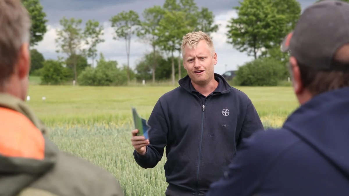Søren Lykkegaard fra Bayer fortalte blandt andet om en nyudviklet test »Q-PCR«, hvor Bayer kigger ind i bladet og kan måle, hvor meget septoria der er, inden der nødvendigvis kan ses symptomer.