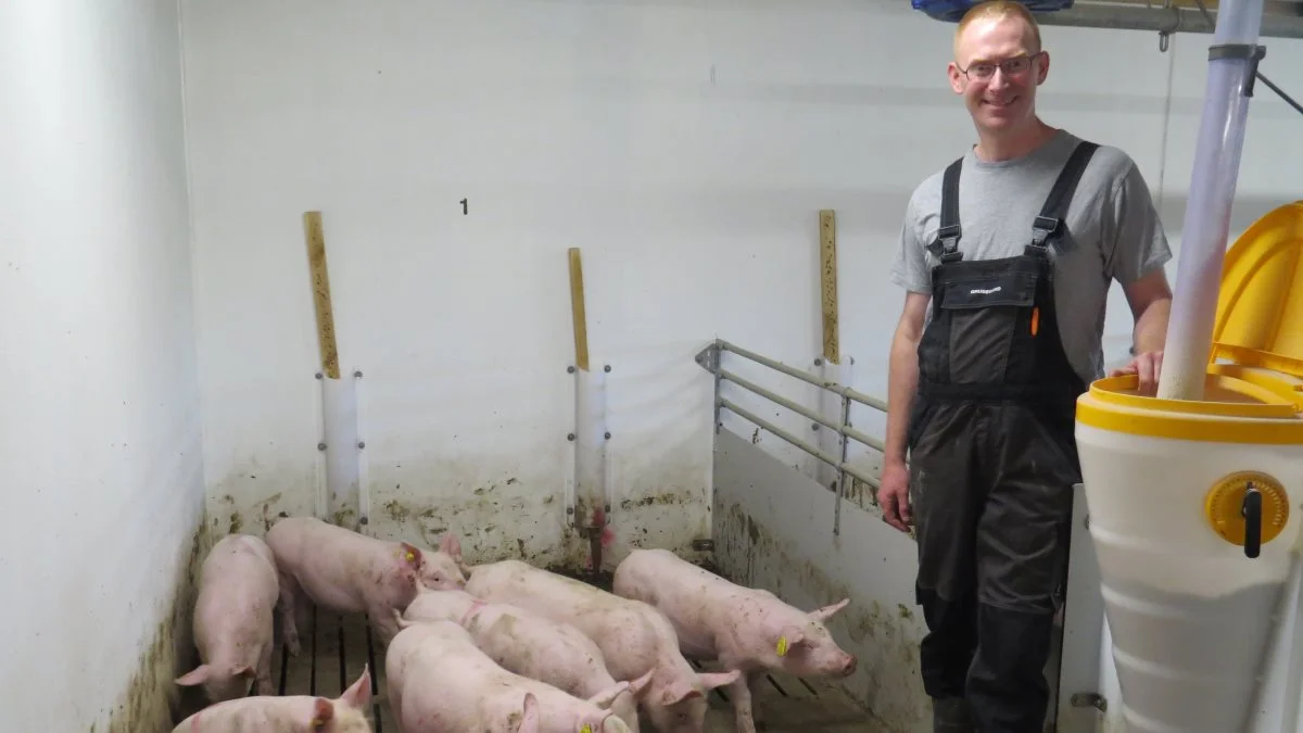 - I nogle af vore poltestalde gav krybestrømmen problemer med halebid. Mange polte holdt mere eller mindre op med at æde, hvorefter de blev syge og døde. Disse problemer er praktisk talt forsvundet efter, at vi har haft Thomas Jessen herude to gange, fortæller Jacob Smidt. 