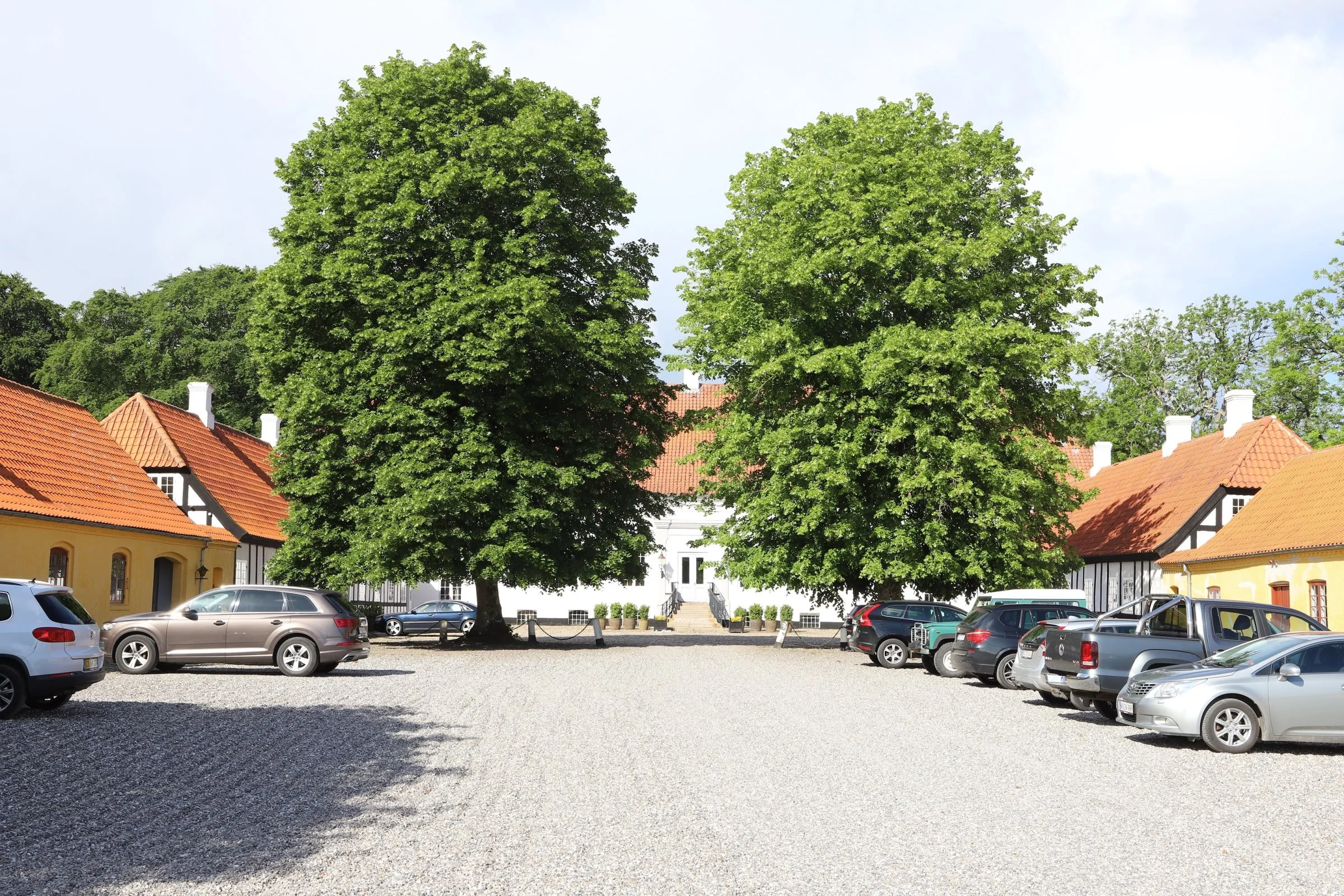 Birkelse Gods, som er den ene halvdel af JSJ Agro, tester pløjefri dyrkning og conservation agriculture for at få en bedre jordstruktur på den drænede havbund. Foto: Anne Kjærsgaard Krogh