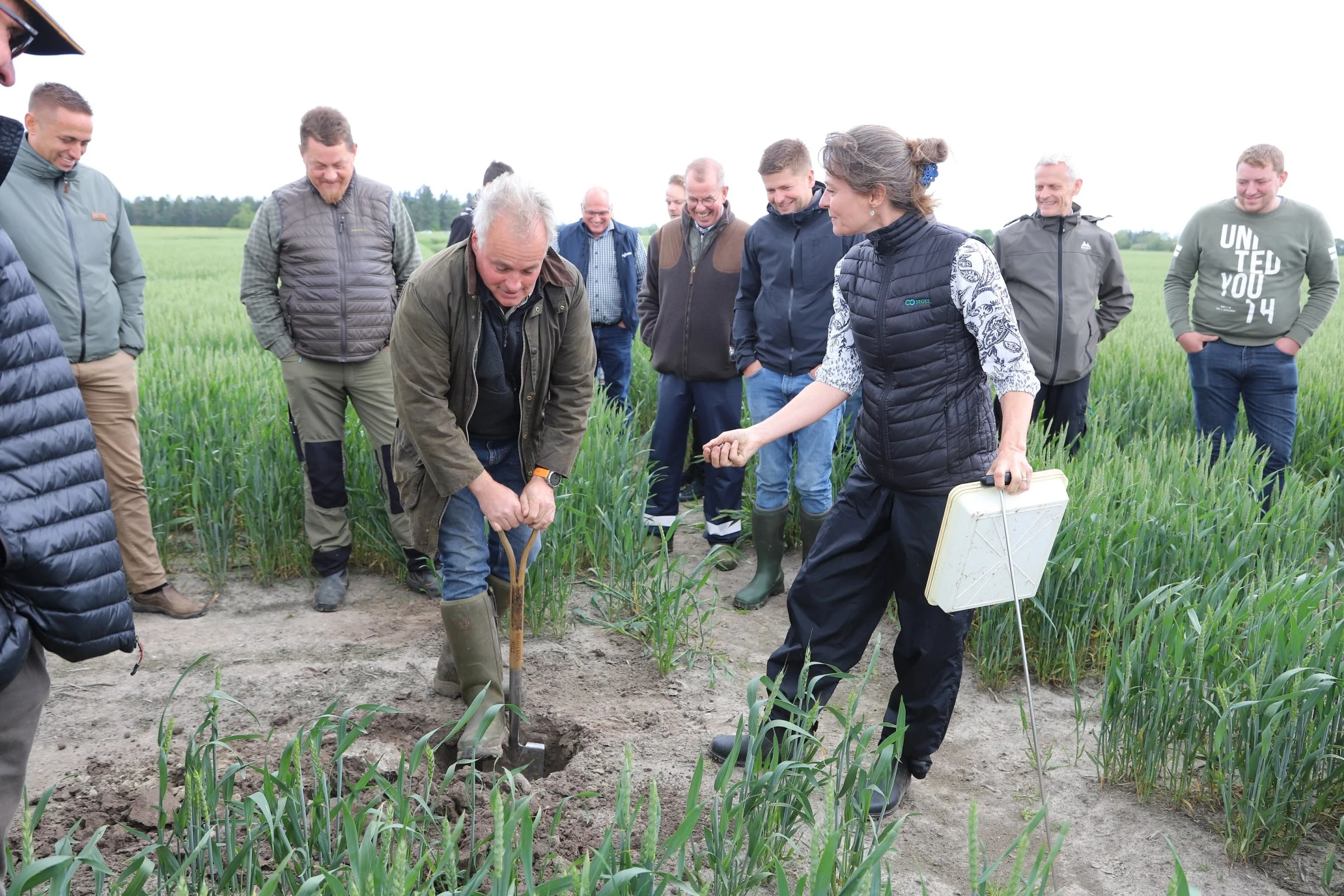 Medejer af JSJ Agro Jens Jungersen graver i den kompakte siltjord sammen med Annette Vestergaard fra Seges Innovation ved en markvandring i Grobund-forsøget for nylig. Foto: Anne Kjærsgaard Krogh