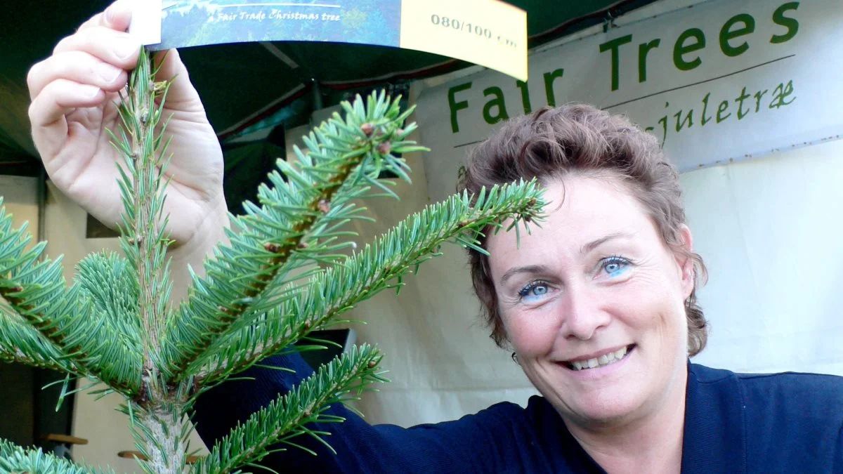 Indehaver af Fair Trees, Marianne Bols, kalder det ”win-win” med spejder-samarbejdet. Hun får luget i juletræerne, og de lokale grønne spejdere får råd til paddleboards. Arkivfoto
