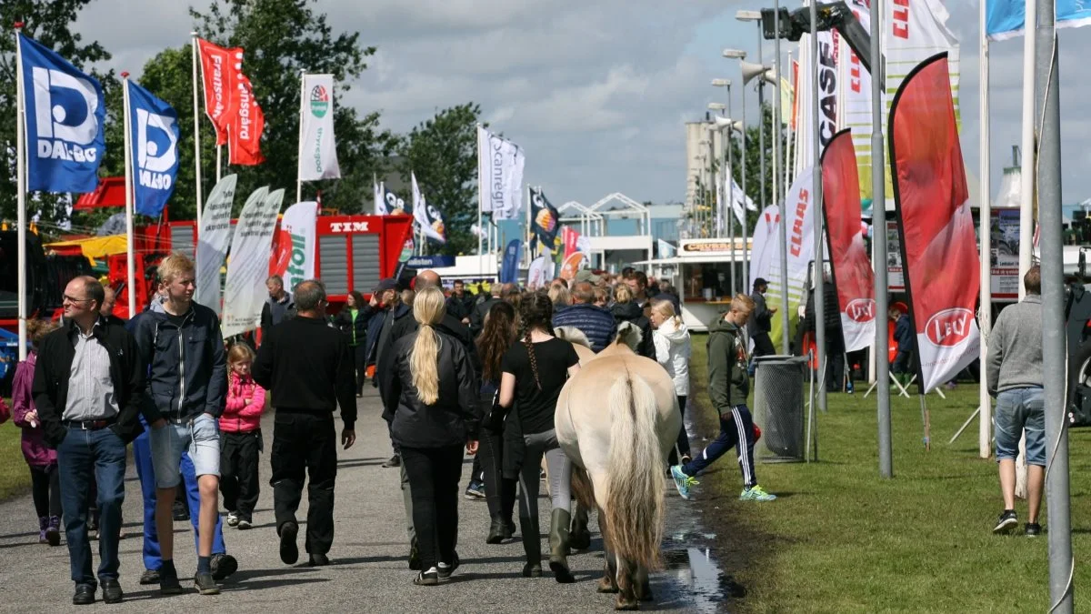 Landsskuet i Herning er tilbage efter to års corona-pause. Arrangørerne håber på et besøgstal i omegnen af 50.000 gæster, som det er sket før. Arkivfoto