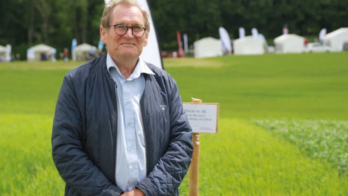 Hans Haldrup, produktudvikler hos Nordic Seed, ser gode takter i ny økologisk vårbygsort, der har vist cirka otte procent bedre udbytte end de vårbygsorter, der allerede er på markedet.