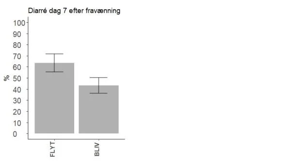 Grise har 20% mindre diarre, når de fravænnes til den faresti, de er opvokset i. Kilde: Afrapportering af VETIII-projektet: Reduktion af fravænningsstress og af behov for AB (antibiotika) gennem fravænning i farestien og brug af robust genotype.