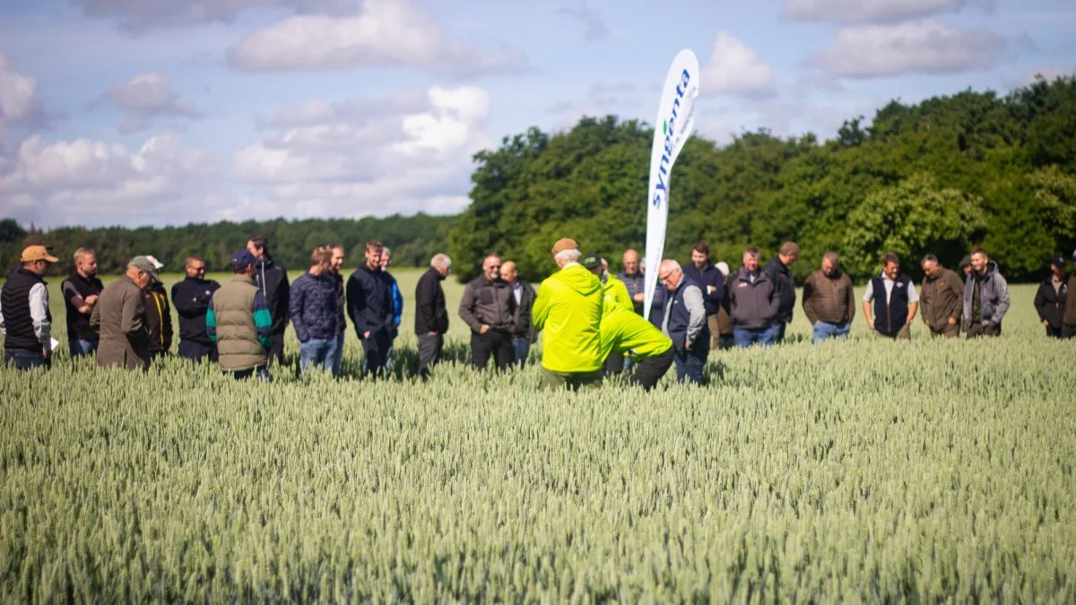 Der var mulighed for at komme i marken og se på blandt andet svampebekæmpelse til Agrovidag 2022, der blev afholdt ved Sorø. Foto: Henning K. Andersen
