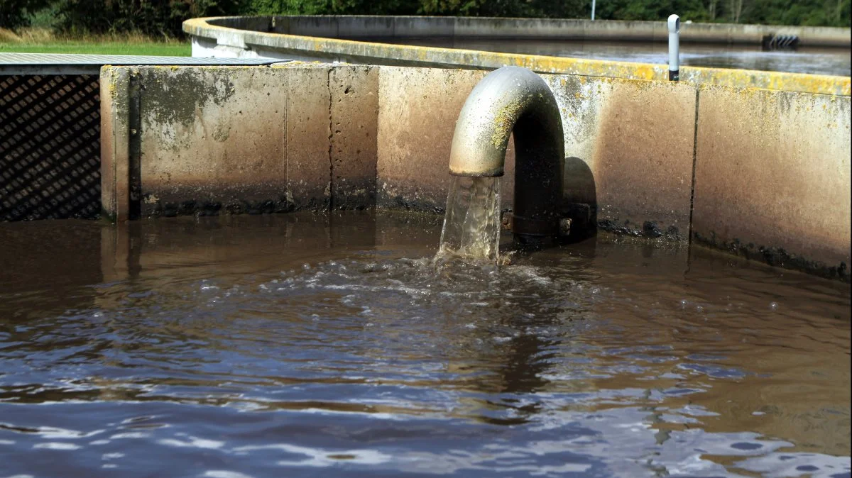 »Bæredygtigt Landbrug har i mange år påpeget, at en indsats mod fosforudledning fra dyrkningsflader ikke giver nogen mening. Der er meget større potentiale i optimering af rensningsanlæg«, skriver Jørgen Evald Jensen. Arkivfoto