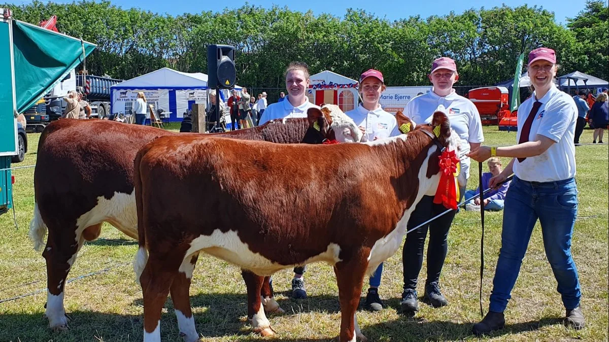 Bedste han- og hundyr: Hereford, Tamu ved Jørn Bloch, Ranum