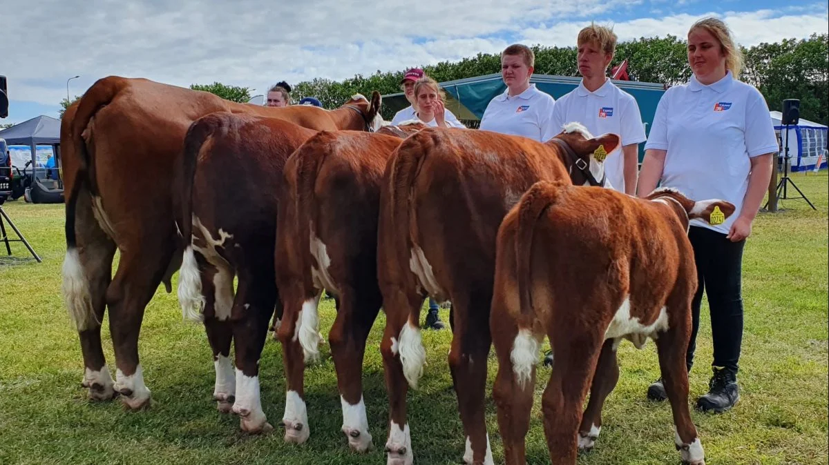 Bedste kødkvægsbesætningsgruppe: Hereford, Tamu ved Jørn Bloch, Ranum