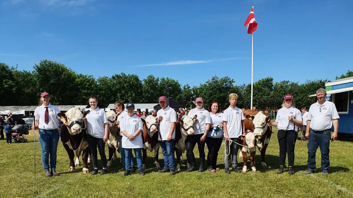 Flot udstilling af Hereford fra Tamu ved Jørn Bloch, Ranum. Fotos: VikingDanmark