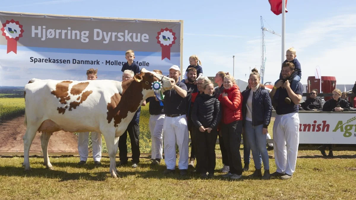 Miss Vendsyssel blev vundet af familien fra Borup Holstein, Vrå.