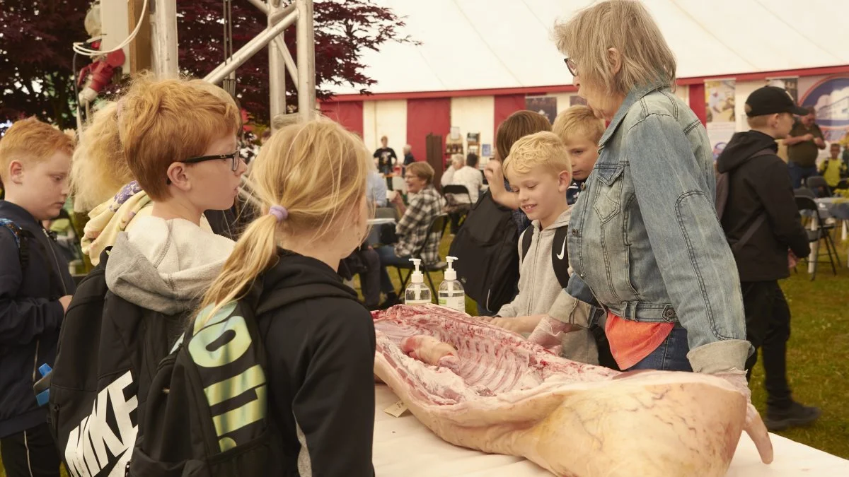 Der var massere af læring i Madbazaren.