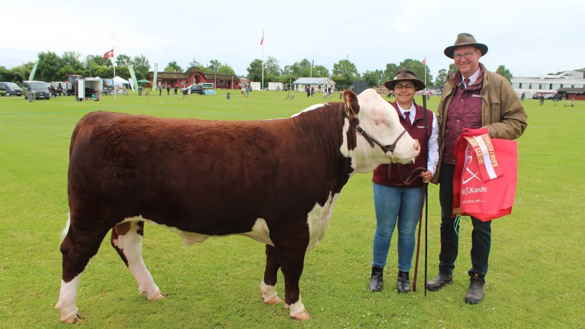 Bedste tyr i Interbreed-konkurrencen blev Kat. Nr. 15 – Hereford-tyren SMH Skyfall 181S fra Jens Michael Jensen, Glud, 7130 Juelsminde.