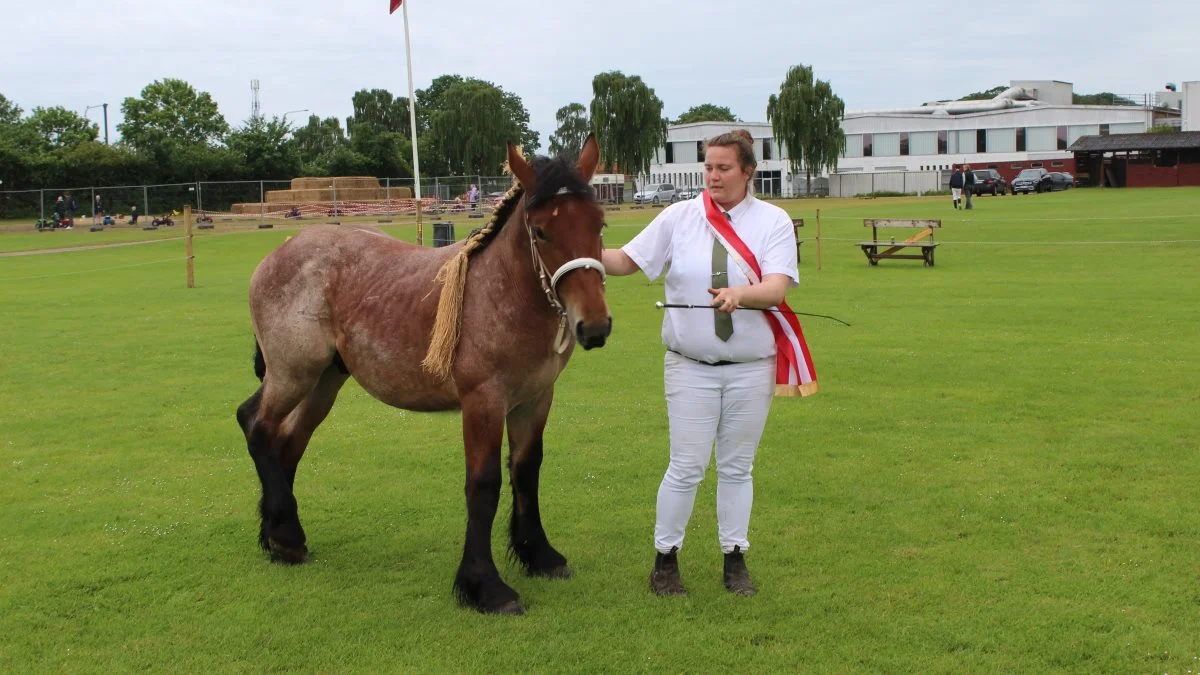 Bedste 1. års hest gik til Belgier-racen – Kat. Nr. 6 - KILDEGAARDENS JAX 208333BH2130407 fra Cecilie og Bjarke Eggersgaard, 7173 Vonge.
