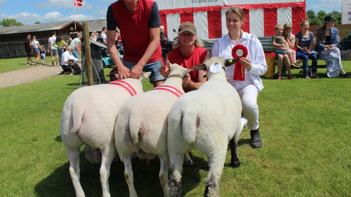 Hos fårene blev tre dyr kåret – Kat. Nr. 9 Skuets bedste får, kat. Nr. 9 BELINDA - og kat. Nr. 4 Skuets bedste vædder BERTRAM - begge fra Niels-Jakob Hjort Korsvik, Adslev, 8362 Hørning og ærespræmie til kat. Nr. 3 ODA fra Erling Sørensen, Bjerlev, 7300 Jelling