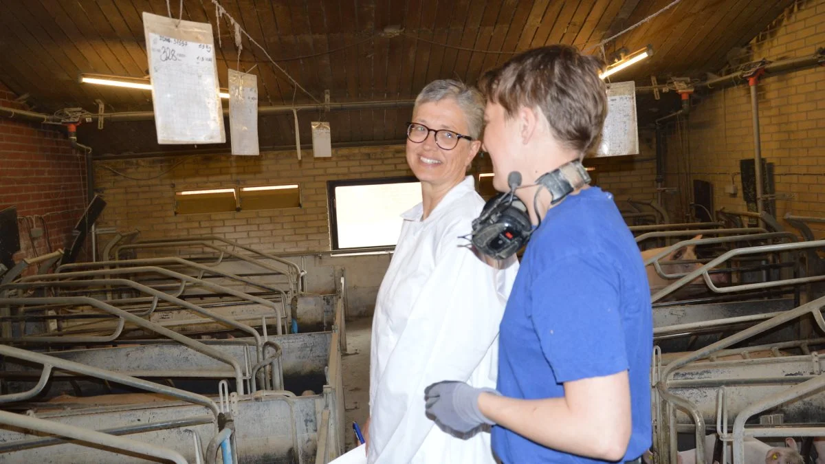 Dyrlæge Anne Ovesen fra AOSvinepraksis er ikke så bekymret for udfasningen af den medicinske zink i soholdet hos svineproducent Bjarne Andersen og hans driftsleder Randi Øster Amby i Højmark ved Lem. Fotos: Camilla Bønløkke
