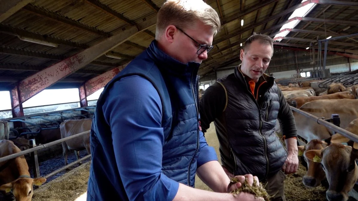 Rasmus Wielandt (tv) er på besøg hos Kristian Larsen for at gøre status på skiftet til Mycofix®. Og der er sket markante forbedringer i mælkeydelse og dyrenes velfærd i løbet af den korte tid.
