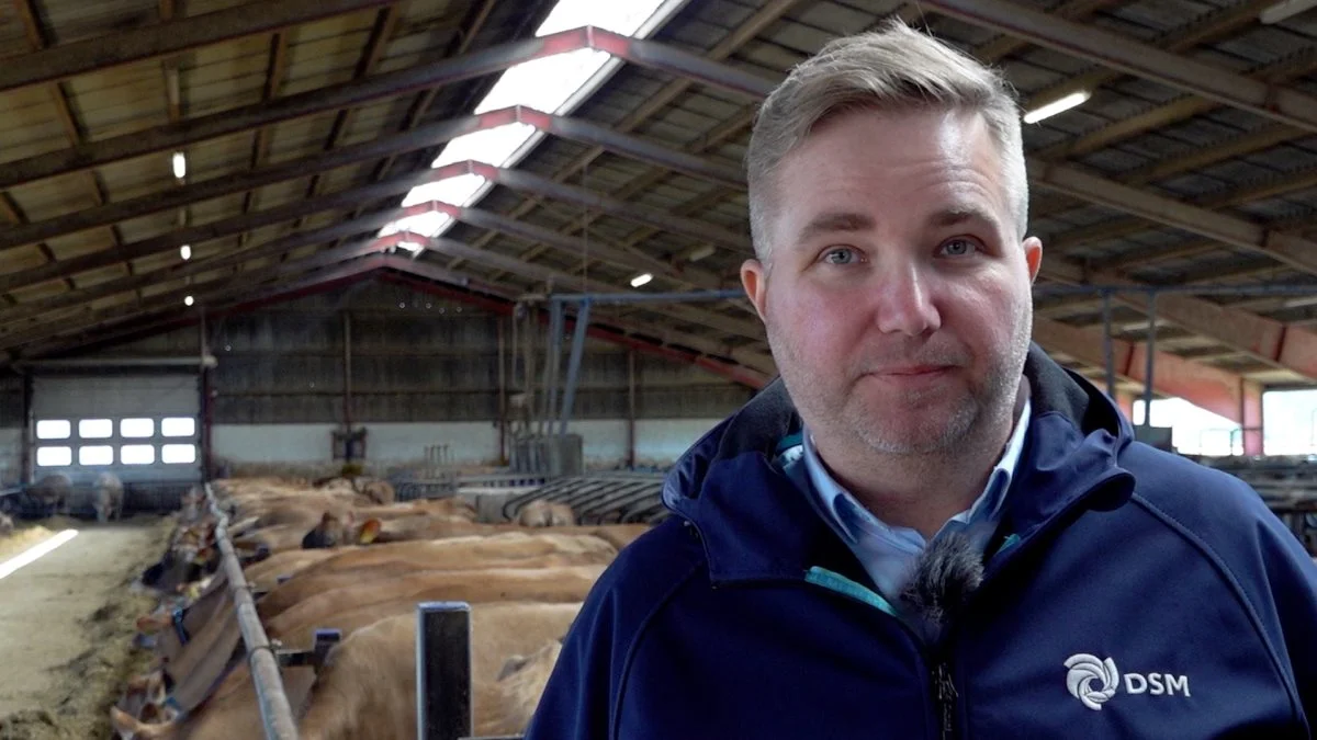 - Vælg et produkt som Mycofix®, der kan dokumentere sin effekt via EU-godkendelser, siger Simon Skaarup Jensen fra DSM.