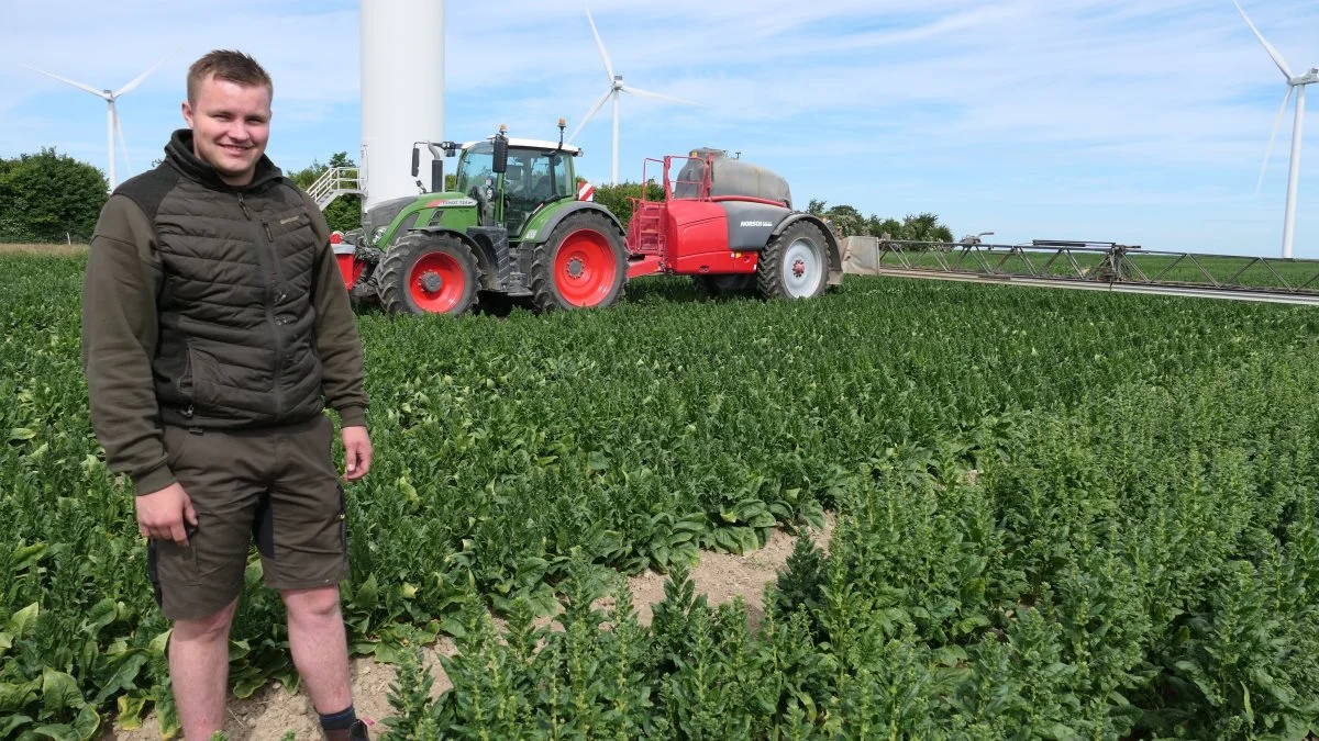 Landbrugselev Elias Madsen forestår sprøjtningen af en 55 ha stor spinatmark hos Agrifos på Nordvestlolland. Fotos: Bøje Østerlund 