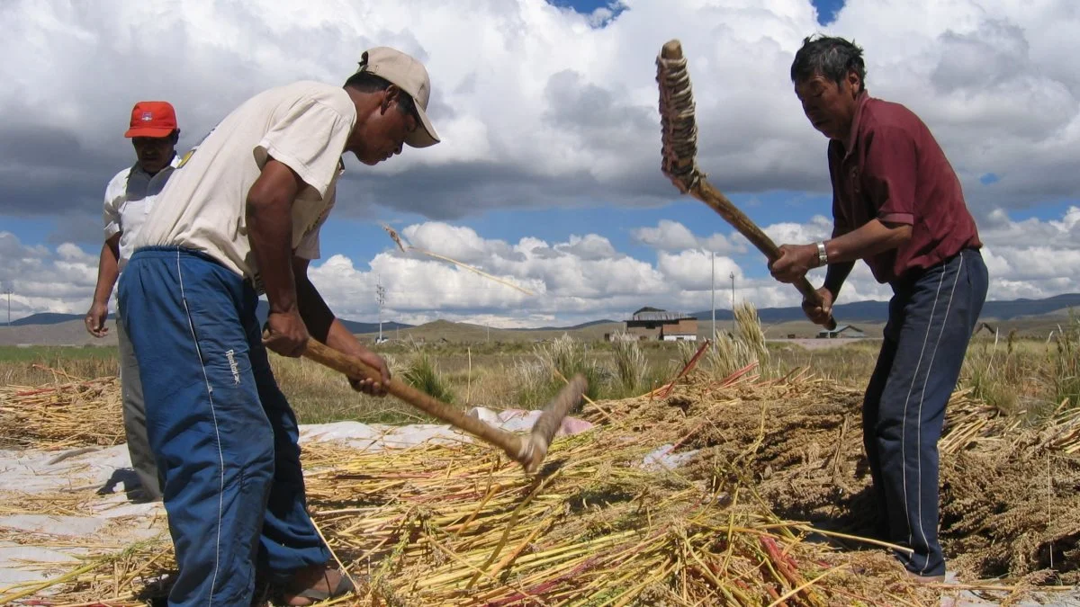 De høje priser på benzin og gødning har fået flere landmænd og chauffører i Peru til at gå i strejke, indtil regeringen kommer med mærkbare hjælpemidler. Foto: Wikimedia Commons