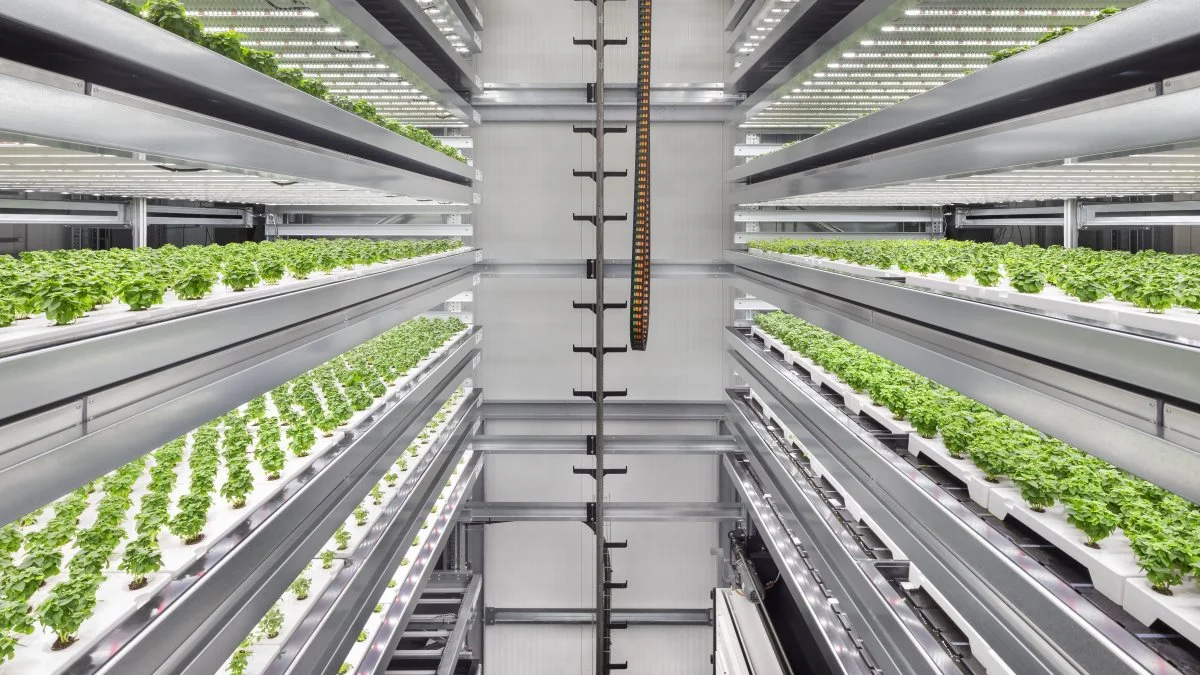 Det nye anlæg bliver Infarms hidtil største globalt med en samlet størrelse på næsten 18.600 m2. Når det er fuldt udstyret, vil anlægget i Howard County producere op til 45 millioner afgrøder om året og vil skabe mere end 50 arbejdspladser. Foto: Infarm