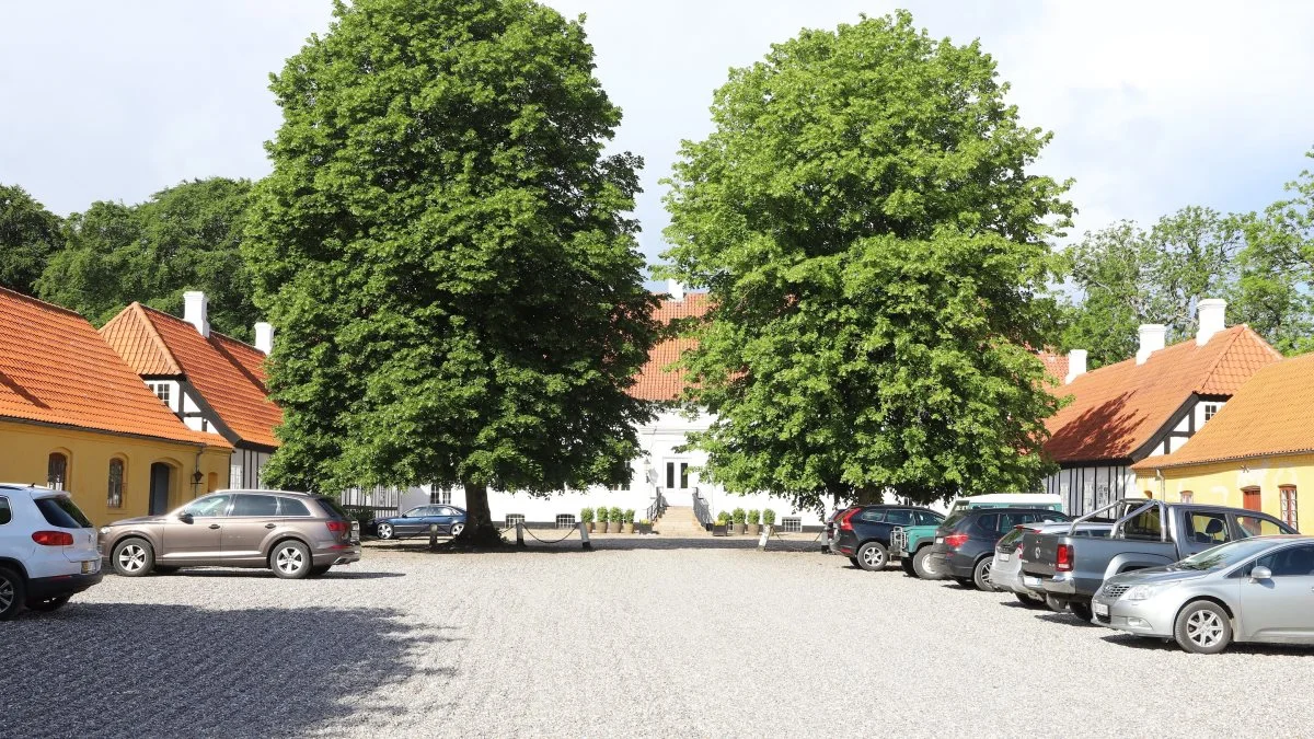 Birkelse Gods, som er den ene halvdel af JSJ Agro, tester pløjefri dyrkning og conservation agriculture for at få en bedre jordstruktur på den drænede havbund.