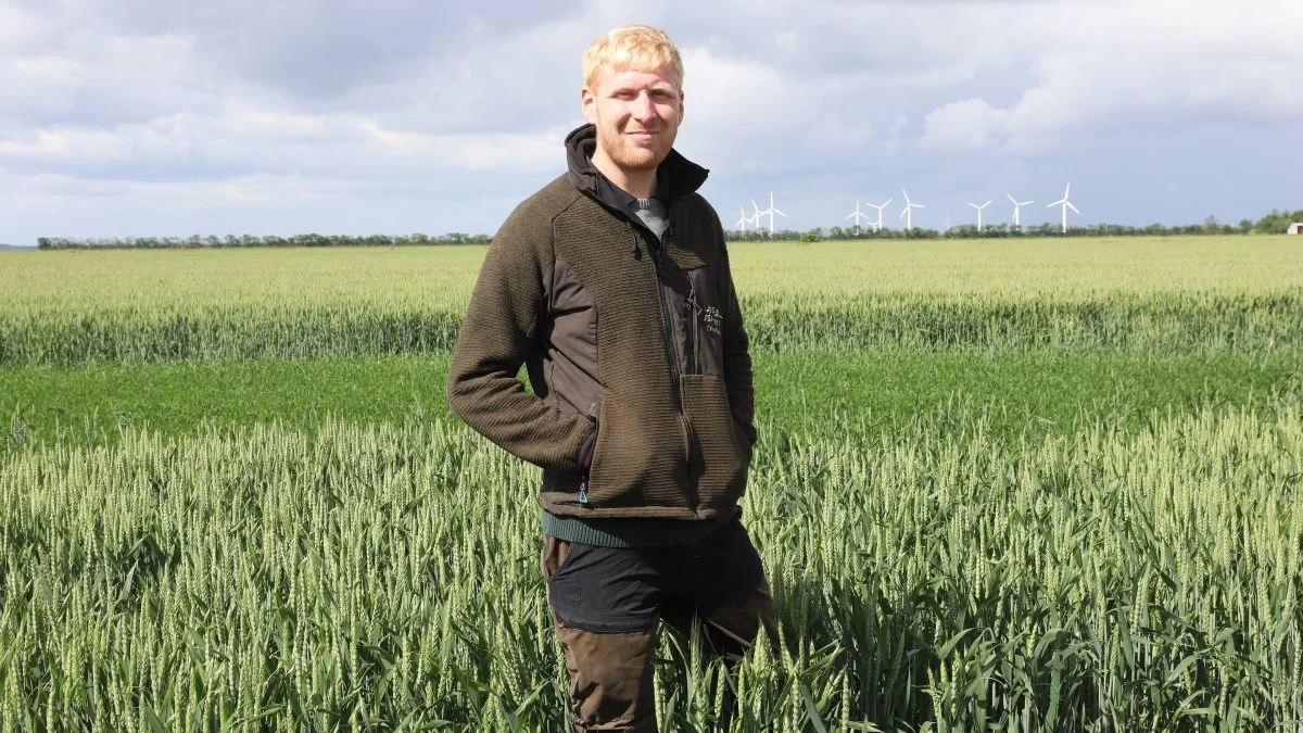 Driftsleder hos JSJ Agro, Christian Sommerlund, er spændt på, hvor meget jordstrukturen kan forbedres med pløjefri dyrkning.