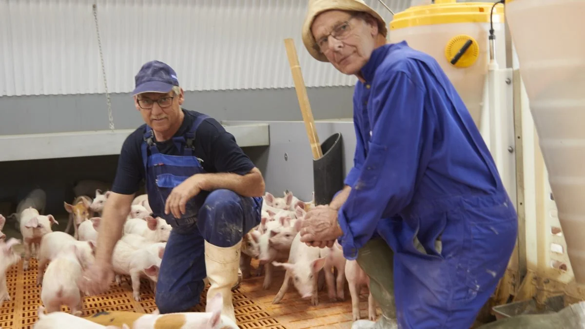 Hvad der startede som forsøg, er blevet til Claus Budolfsens (tv.) strategi om zinkfri fodring. Han anvender Micro-Aid til drægtige og diegivende søer plus patte- og smågrisene indtil 30 kg. Bag produktet står Jens Jørgen Pedersen fra Dantrace-Danfeed. Fotos: Tenna Bang 