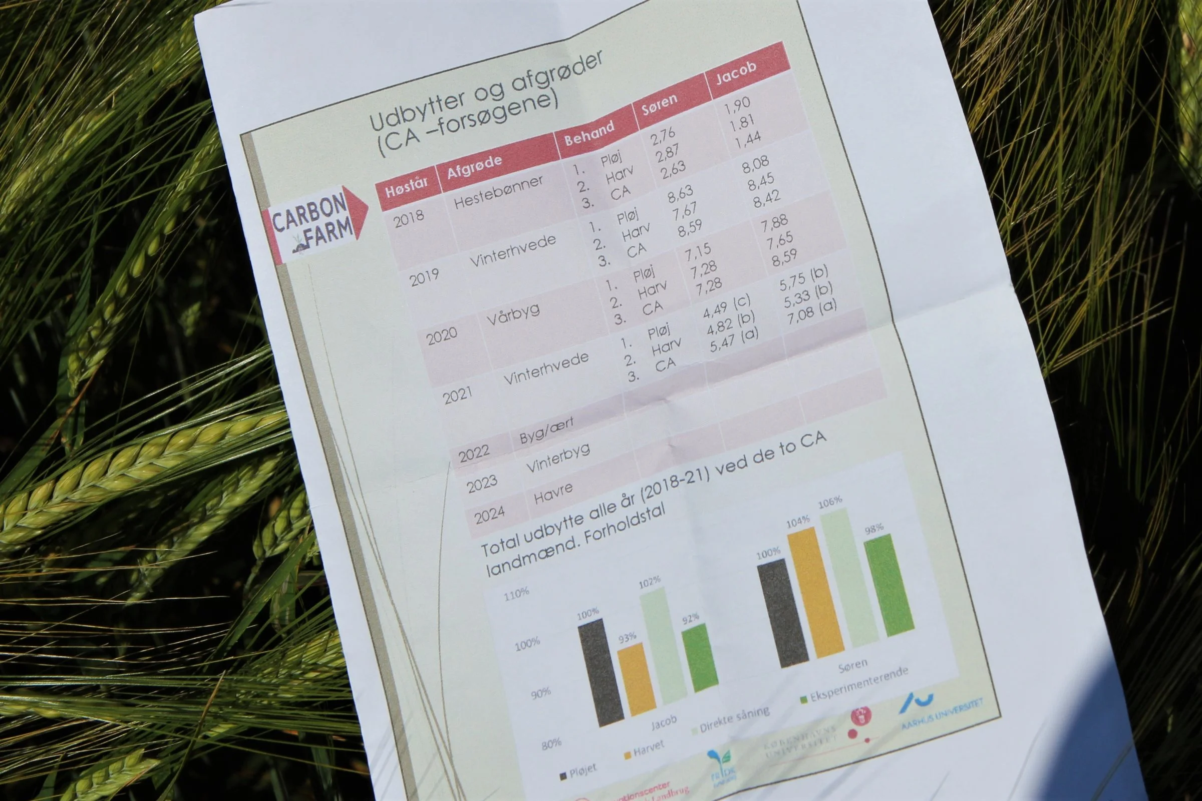 Målt på det totale udbytte fra CarbonFarm-forsøgene i de fire høstår, der er gennemført, er parcellerne med direkte såning lidt foran de øvrige parceller. 