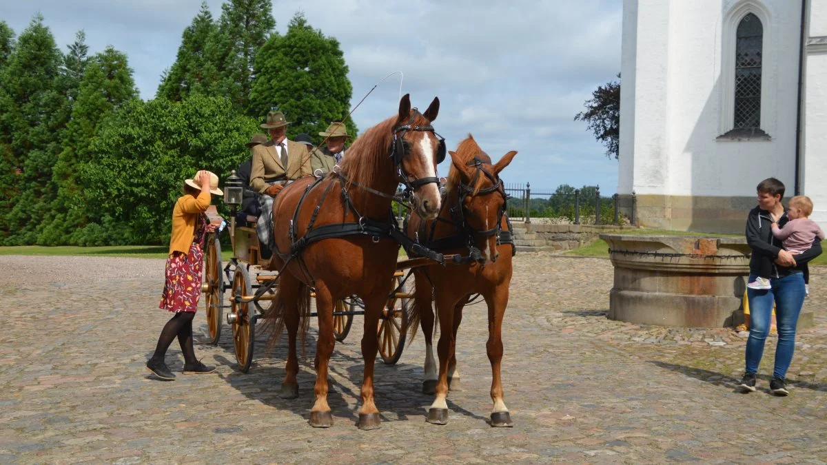 Sidste års vinder af Brahetrolleborg Traditionel Kørsel, Jens Dall Rasmussen, Brændeskov. Foto: Frida Haugaard Føns Hansen.