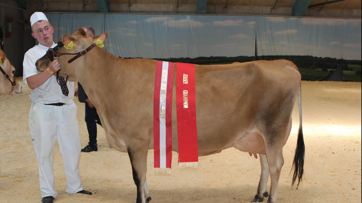 Champion og bedste ældre Jersey: 35582-06640 fra Alstrup I/S, Brønderslev. 