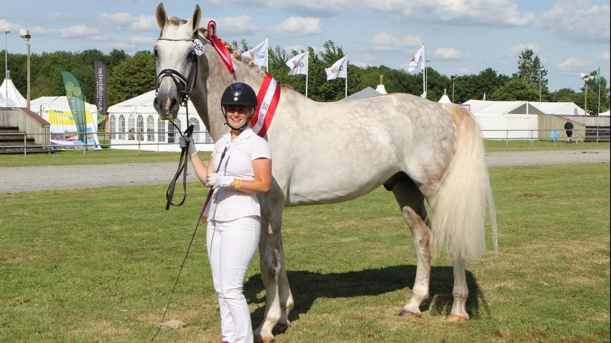 Bedste hingst - 24 St. Stenbjerg’s Elton RFRH 780, frederiksborgerhingst fra Stine J. Fogelberg, Holbæk. Foto: Line Brusgaard