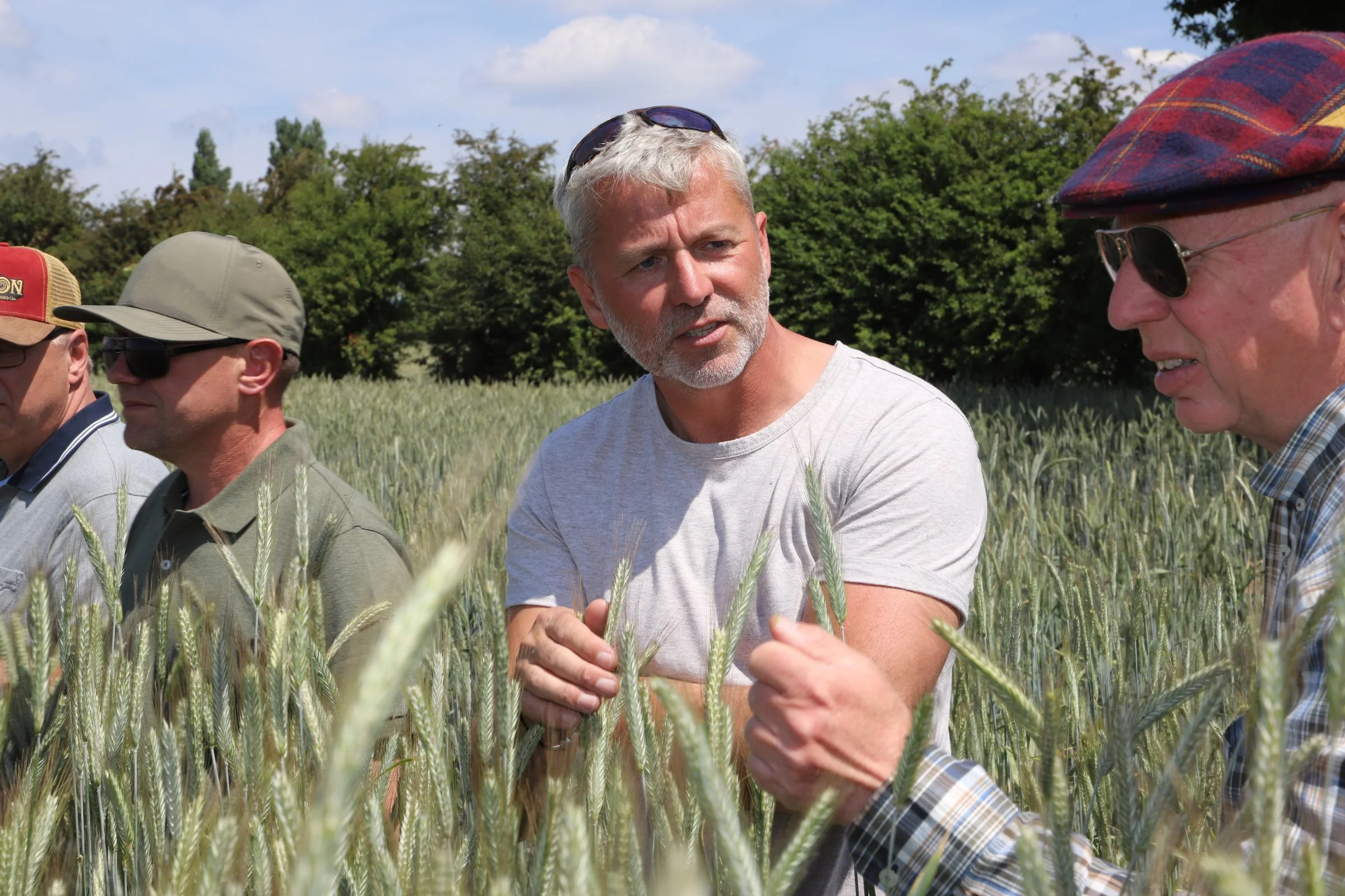 Folk fra hele verden besøger Clive Bailye. Her er det en gruppe danske landmænd fra FRDK og planteavlskonsulenter fra Agrovi og Velas, der er på besøg. Foto: Anne Kjærsgaard Krogh