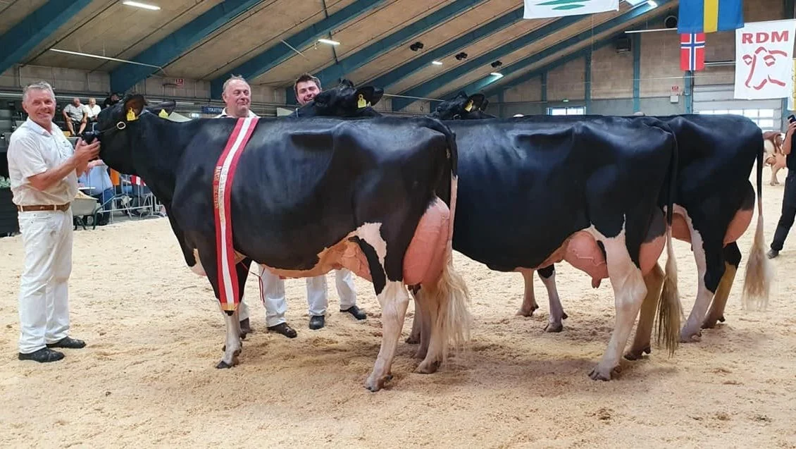 Bedste besætningsgruppe Holstein: fra Skovgård, Them