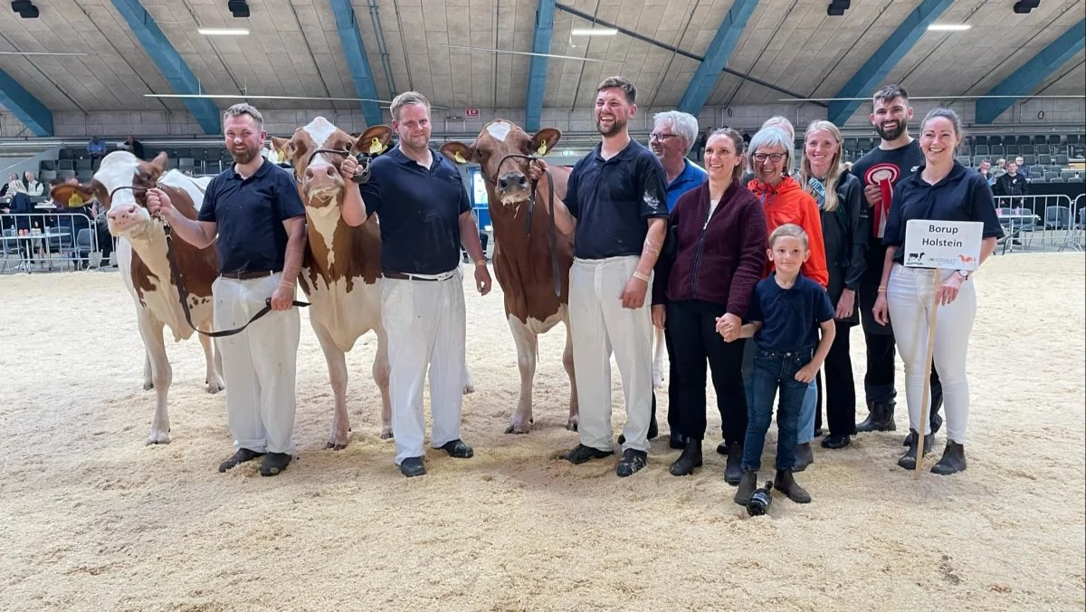 Bedste besætningsgruppe DRH: fra Borup Holstein, Vraa. Foto: Borup Holstein