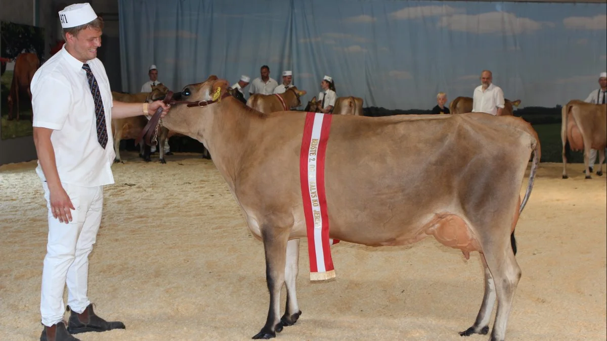 Bedste 2. og 3. kalvs Jersey: 14444-04705 fra Lars Stenbek, Næstved 