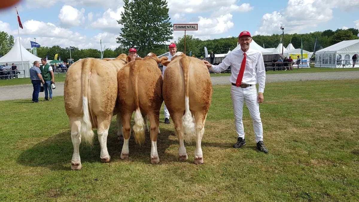 Bedste besætningsgruppe: Simmental fra Erik Olsen, Skibby