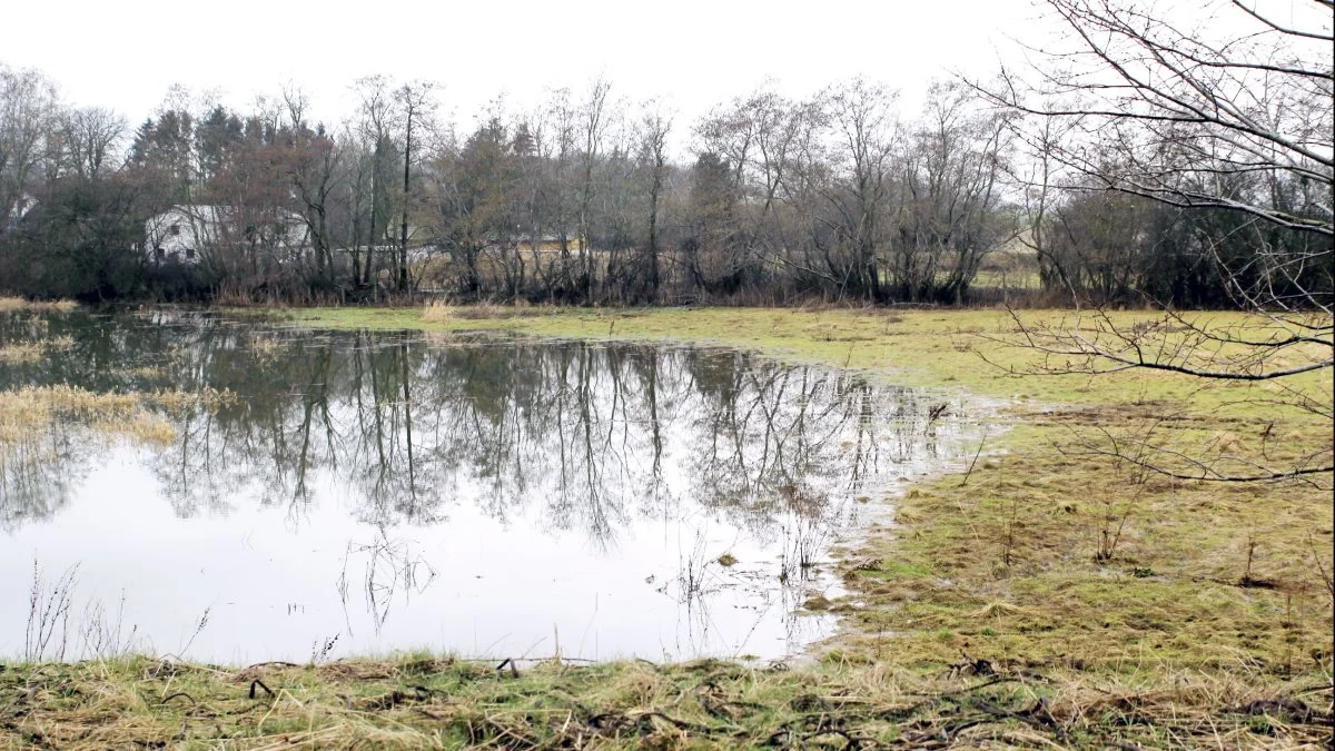 Voldsomme regnmængder kan skaber problemer både udenfor og indenfor. Foto: Jesper Hallgren