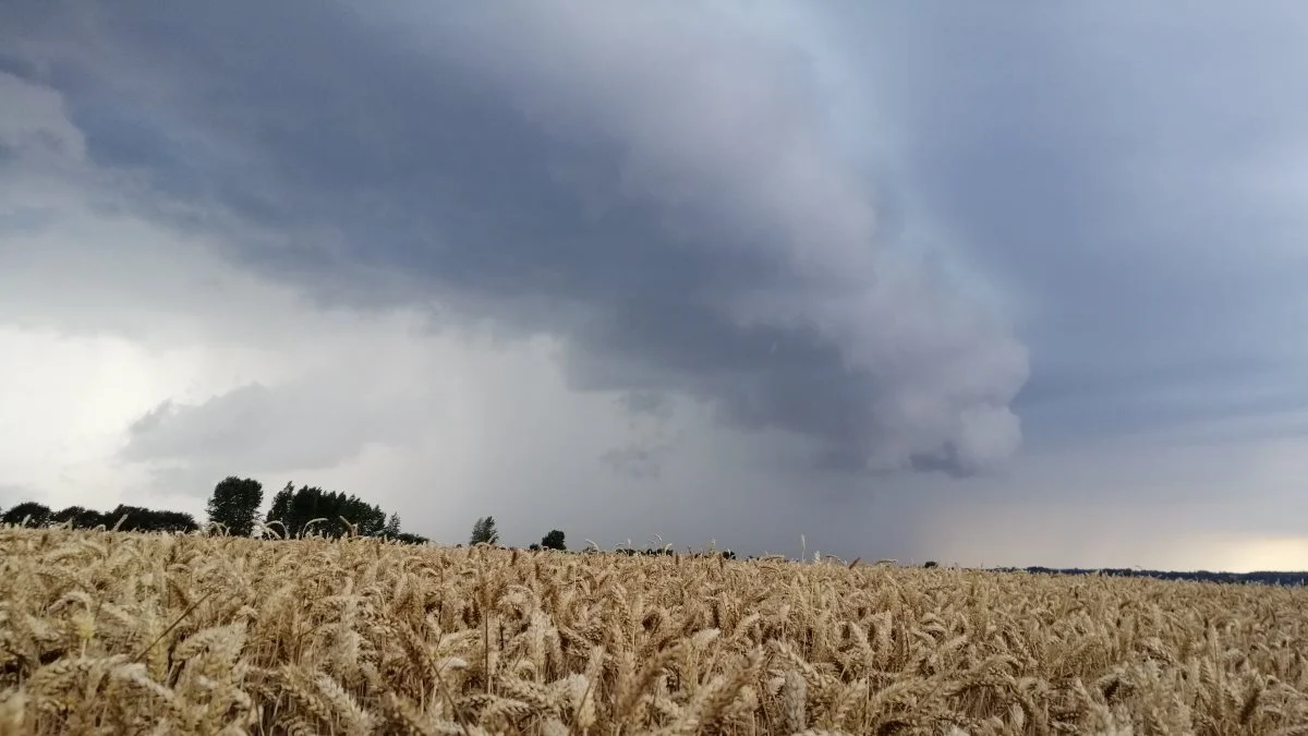 I takt med den globale opvarmning vokser hyppigheden af kraftige byger og skybrud i Danmark. Arkivfoto