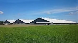 Det nye staldanlæg opføres væk fra den gamle ejendom med de faciliteter, som behøves. På den måde kan man rationalisere afstand til køresiloer eller lave asfalterede veje til foderlastbiler med mere. Foto: NF Plus