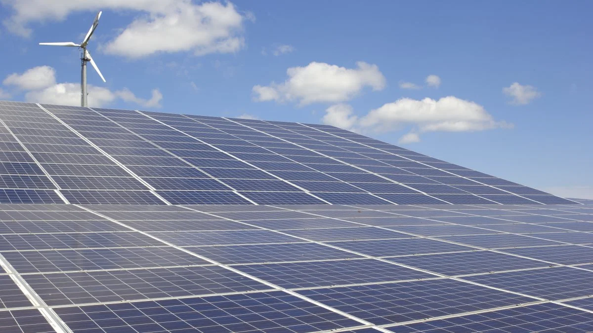 Solceller kan være vejen til egen elproduktion på landbrugsbedriften. Arkivfoto
